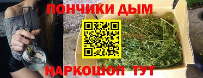 шишки Пушкино