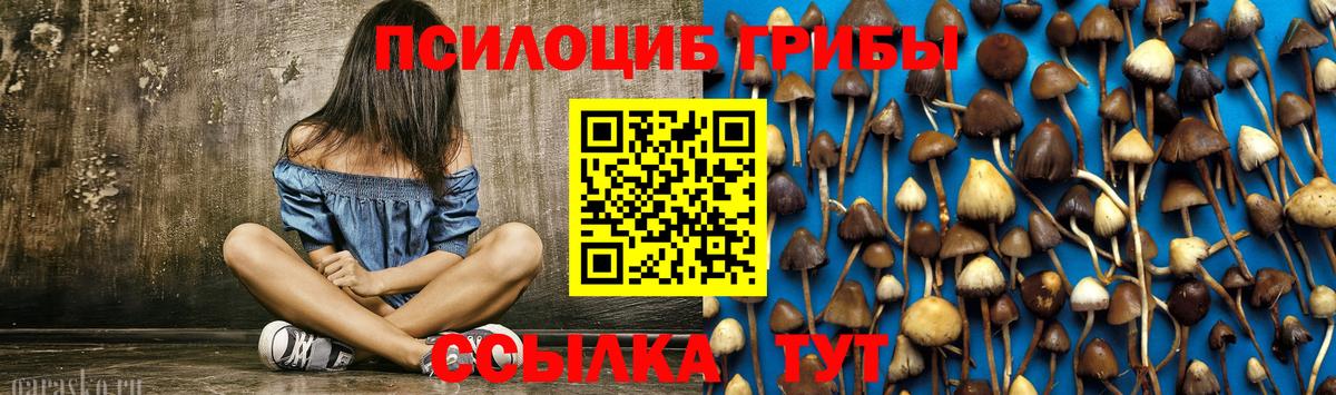 Галлюциногенные грибы мицелий Сочи